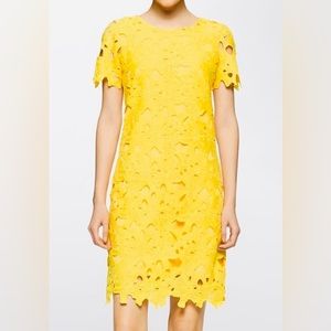 Calvin Klein Canary Yellow Floral Pattern Lace Dress Romantic. Sz 8. NWT